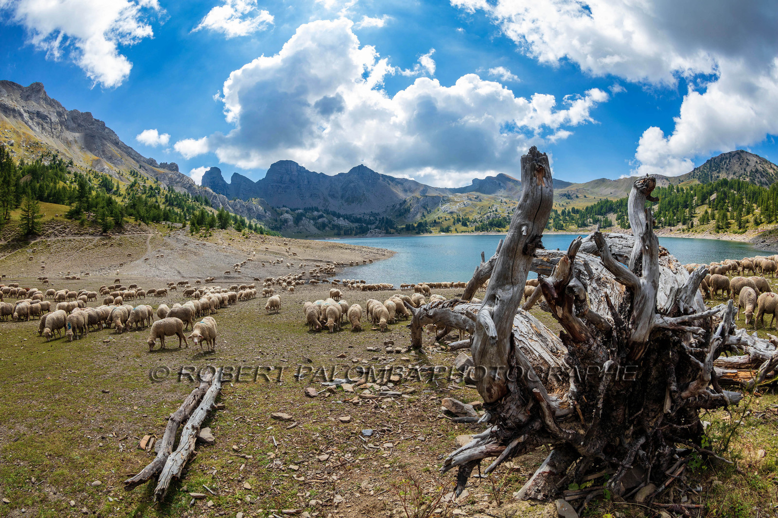 Lac d'Allos