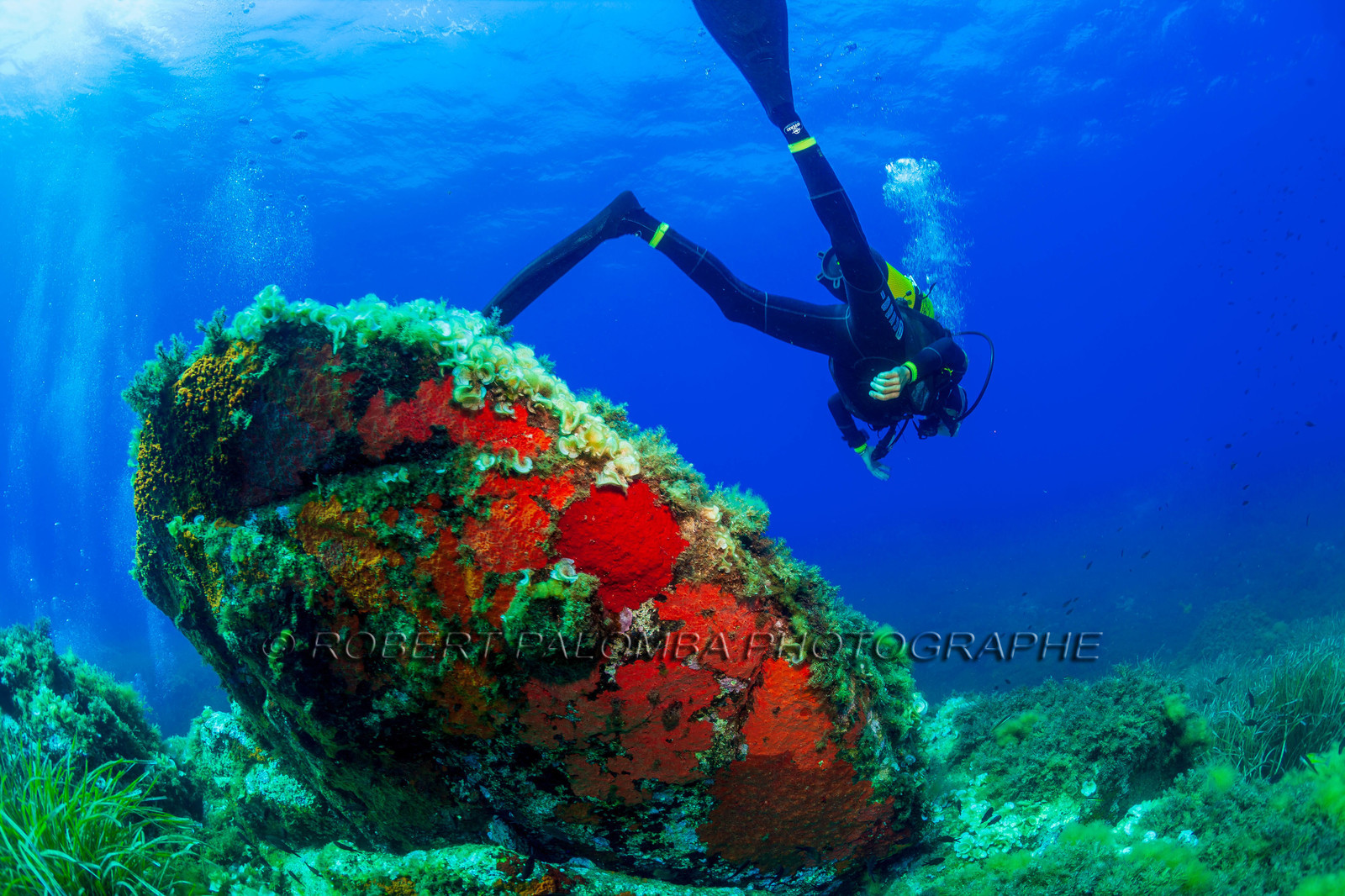 Plongée-sous-marine