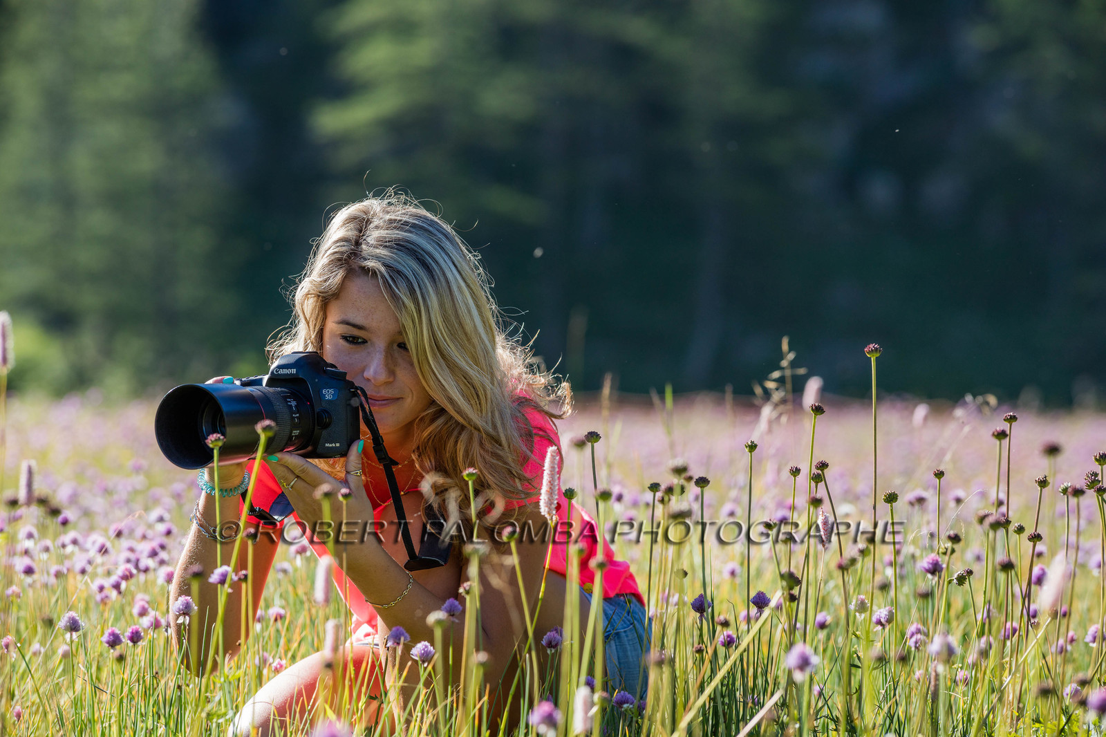 Alpes-de-Haute-Provence (04) Val d'Allos