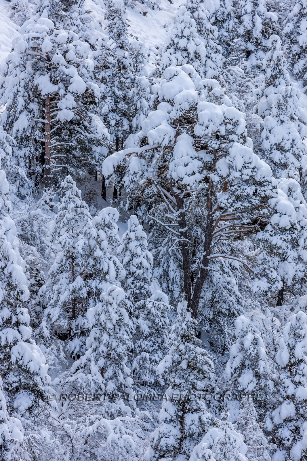 La Colle-Saint-Michel
