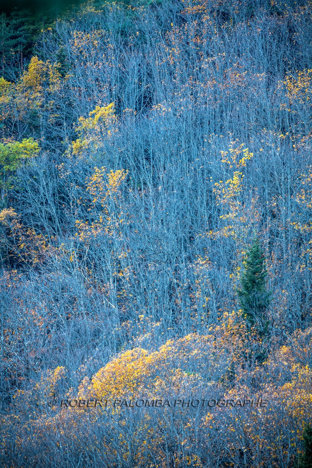 Granges de la Brasque
