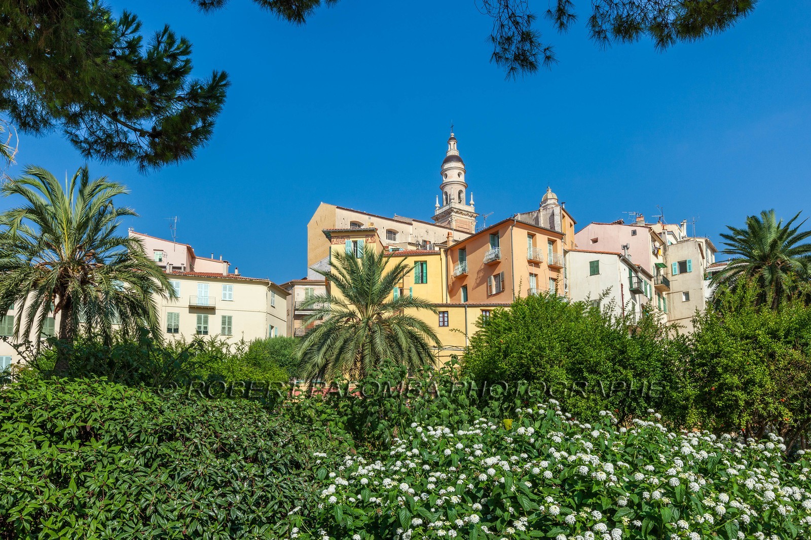 Menton