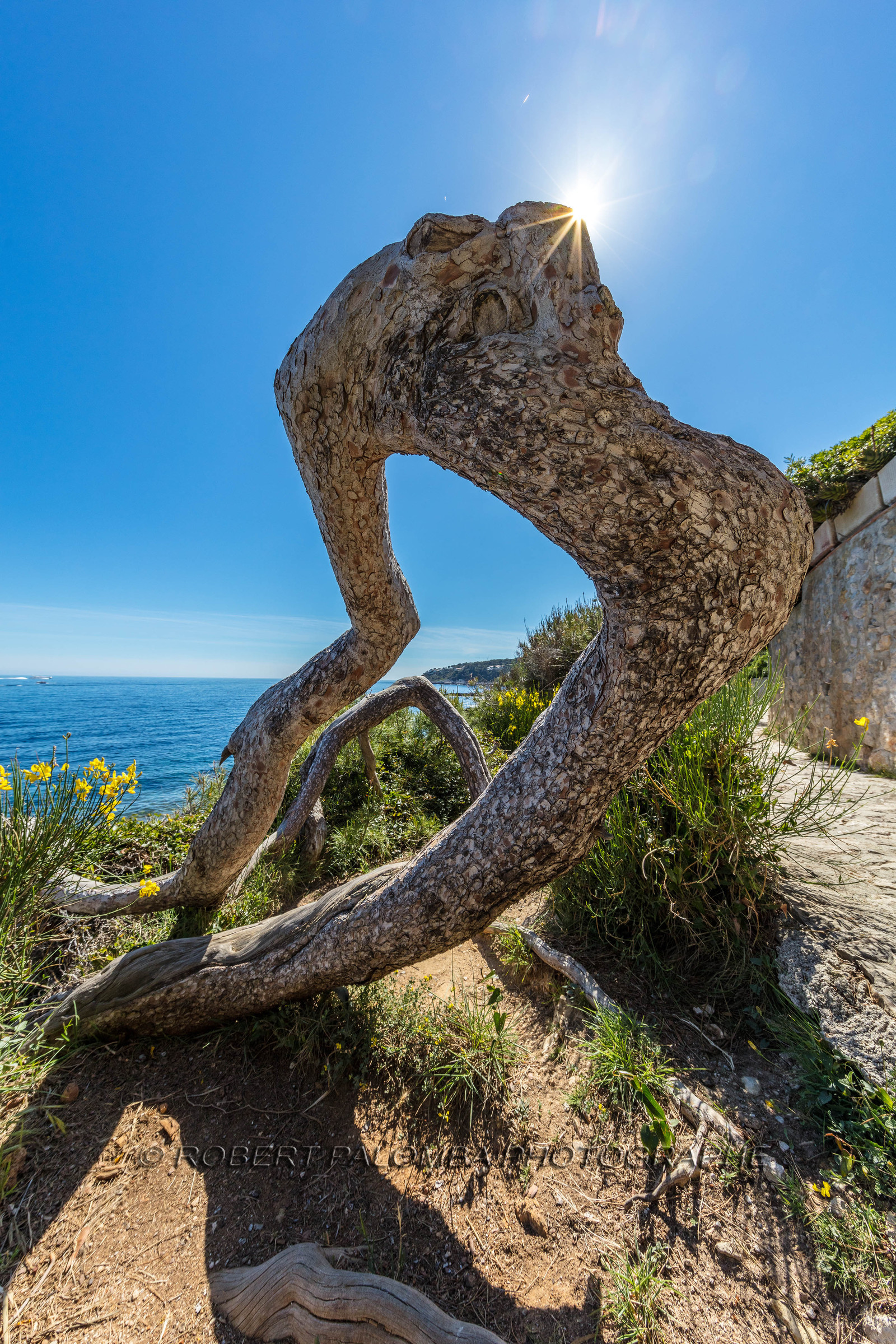 Saint-Jean-Cap-Ferrat.