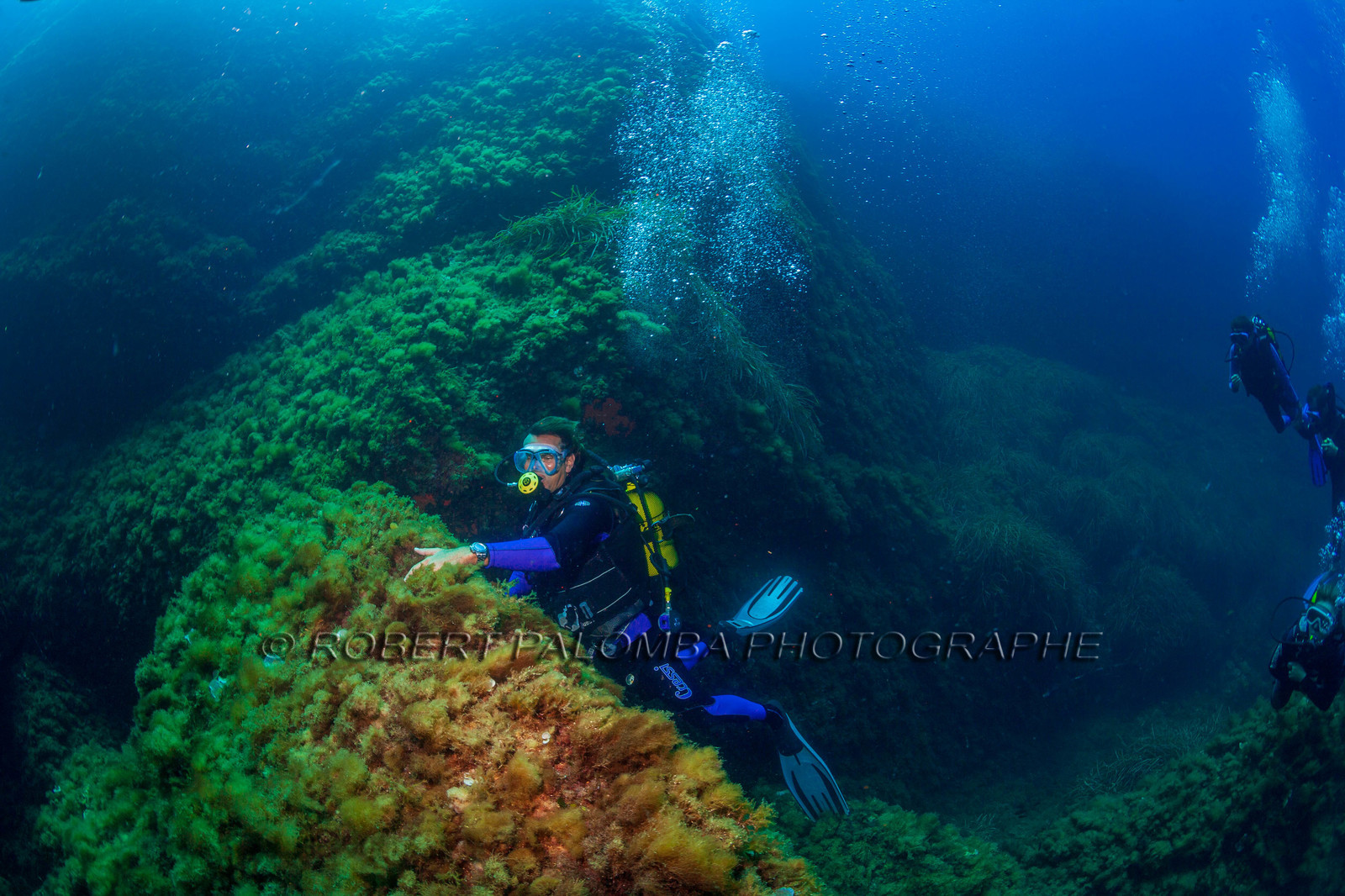 Plongée-sous-marine
