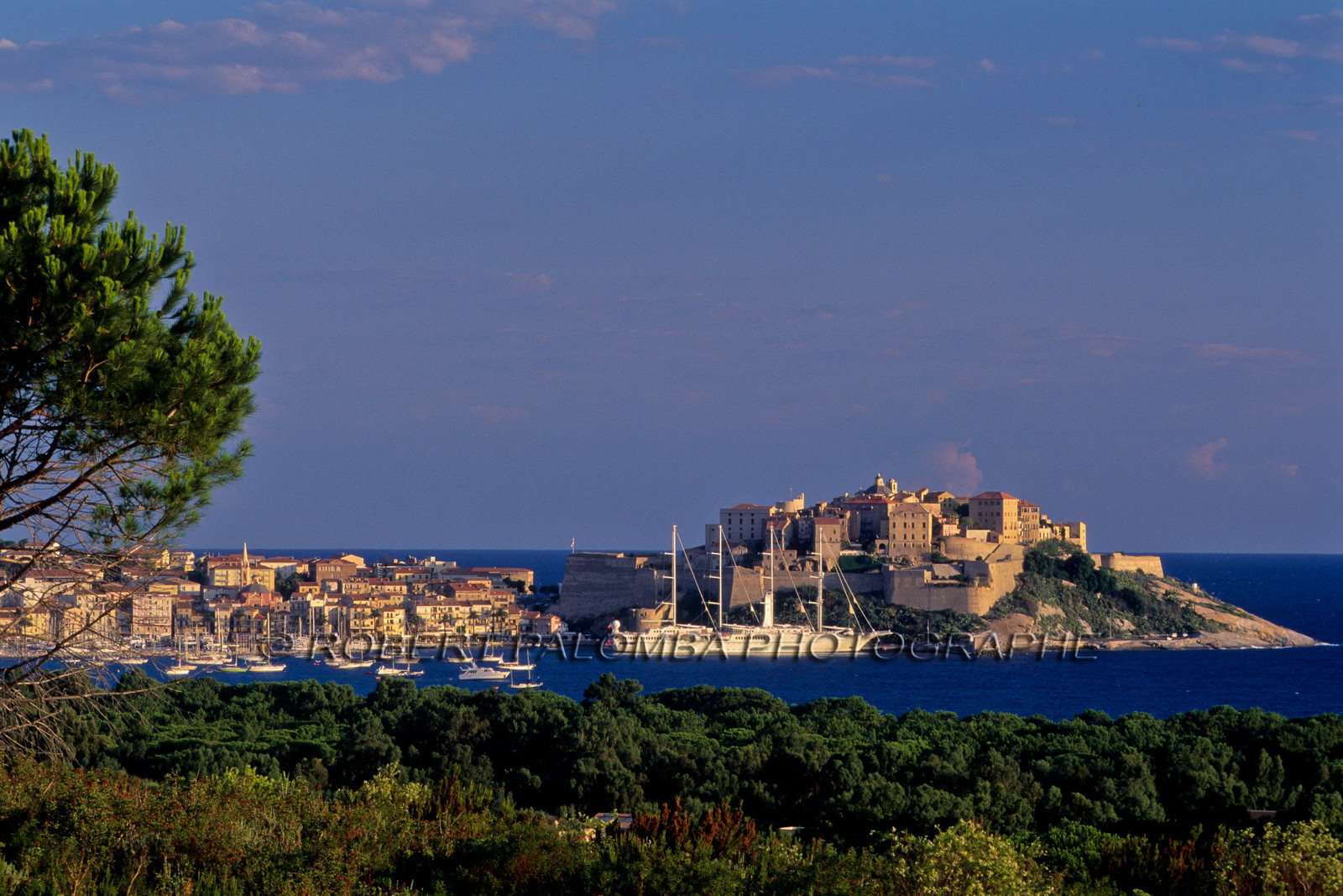 Calvi