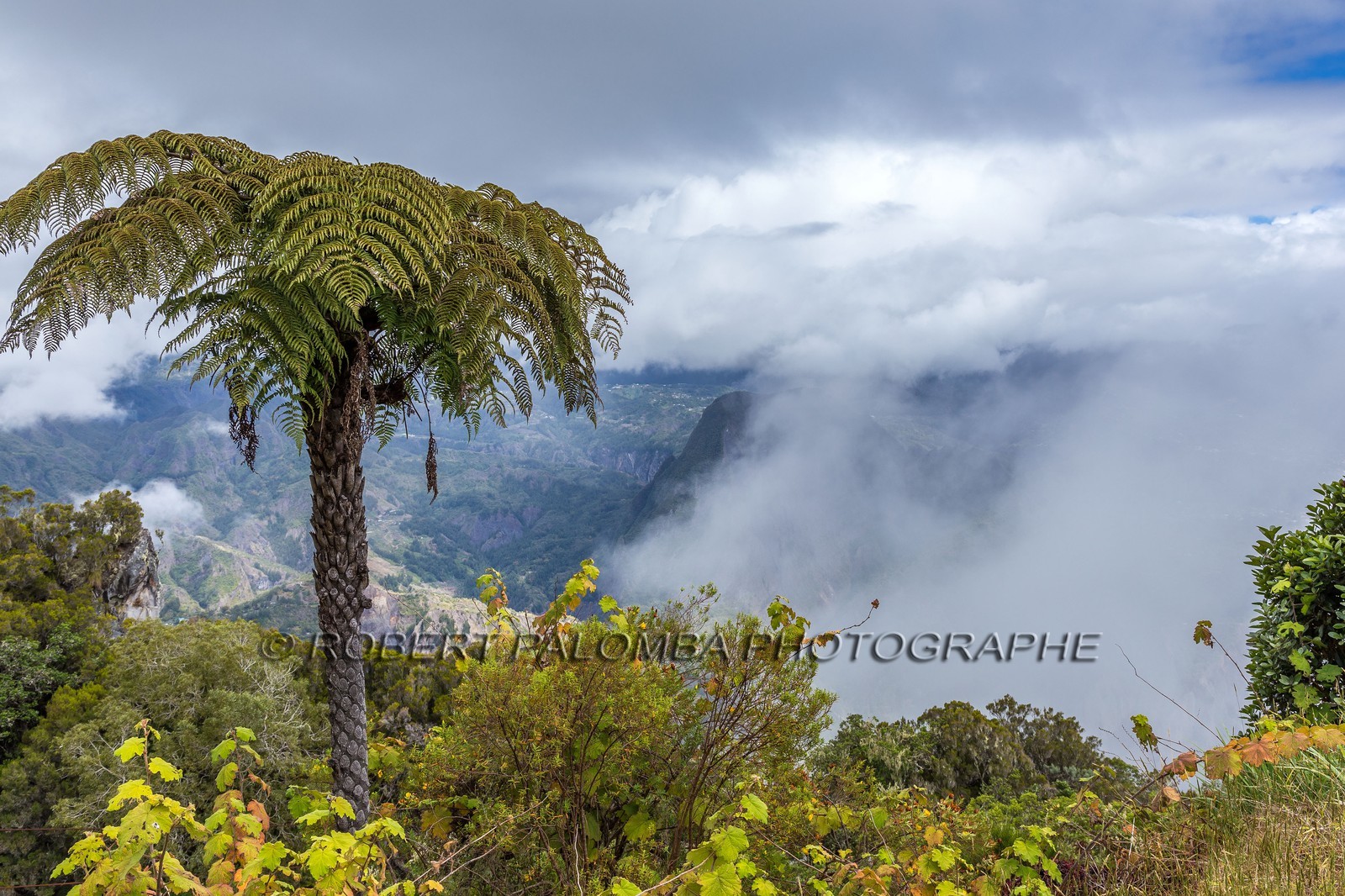 Ile de La Réunion