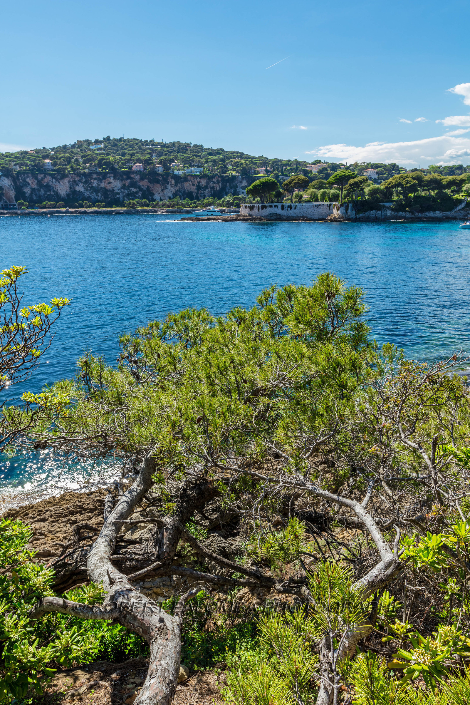 Saint-Jean-Cap-Ferrat.