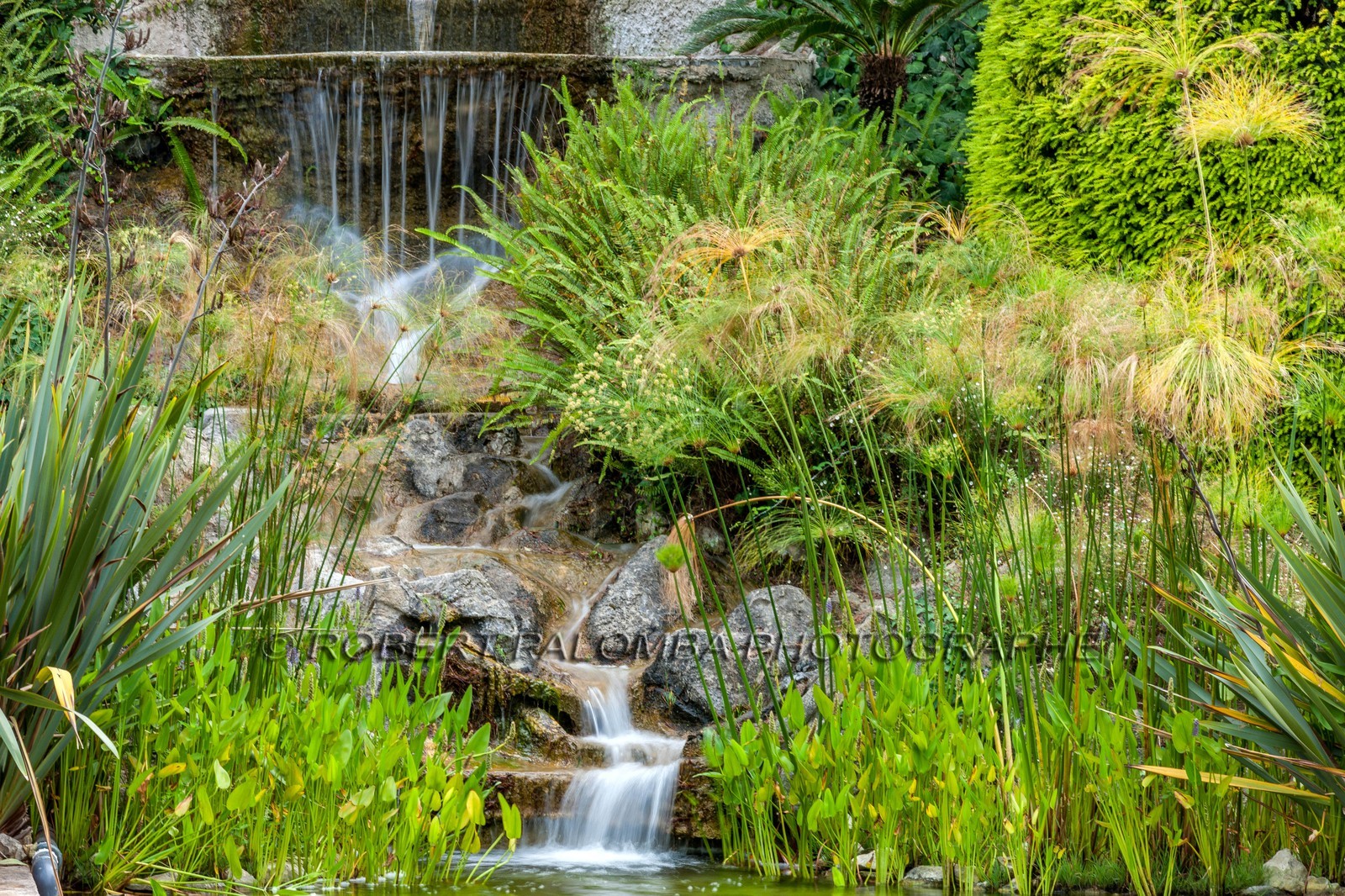 Saint-Jean-Cap-Ferrat