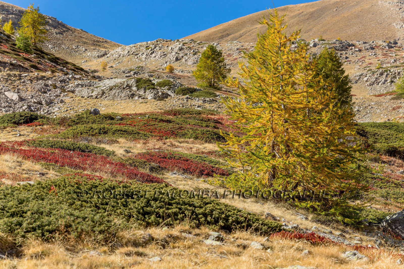 Col de la Moutière