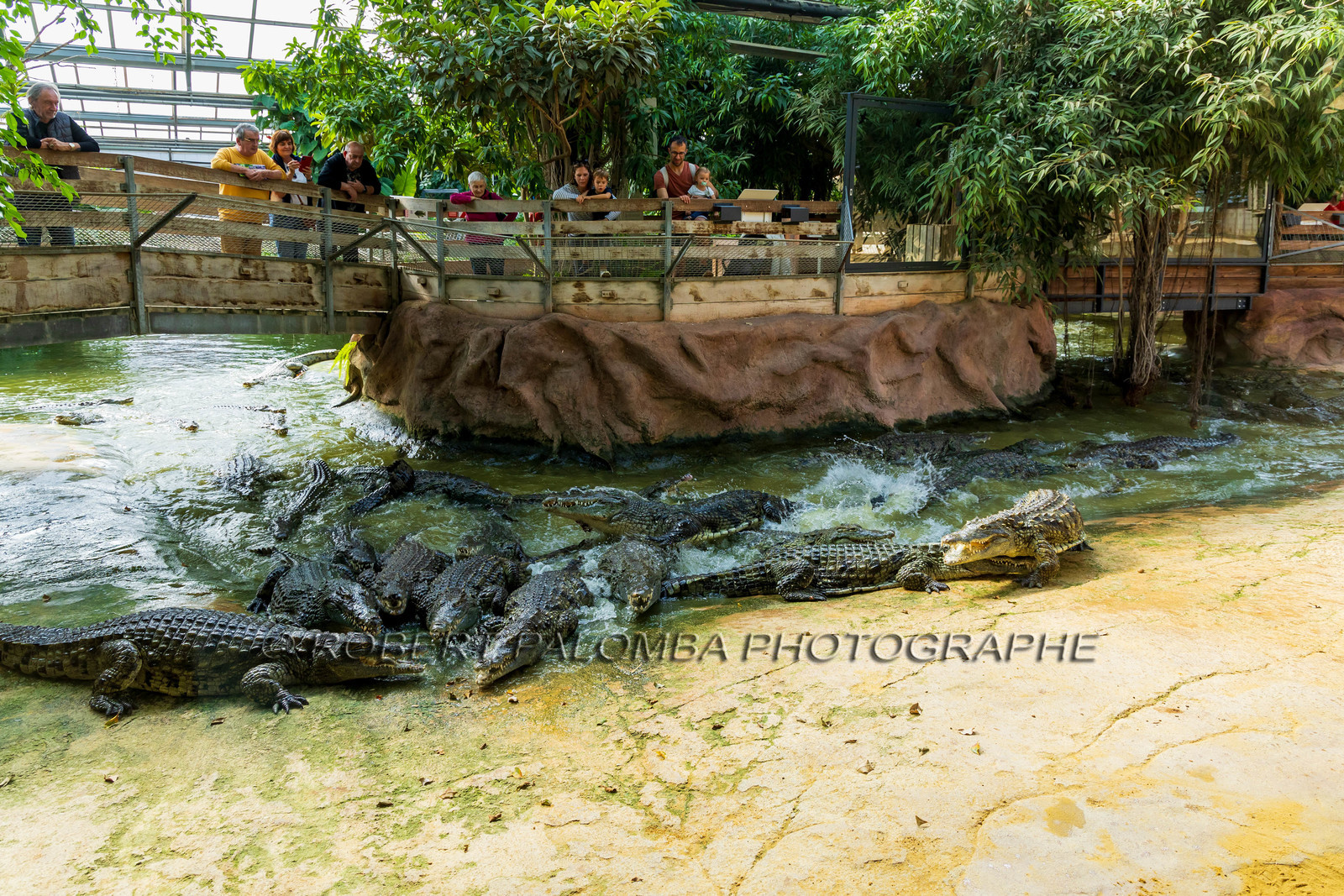La Ferme aux crocodiles