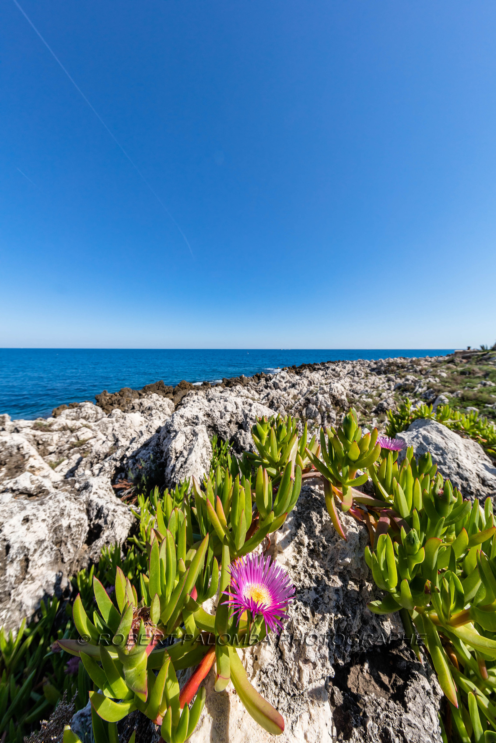 Roquebrune-Cap-Martin
