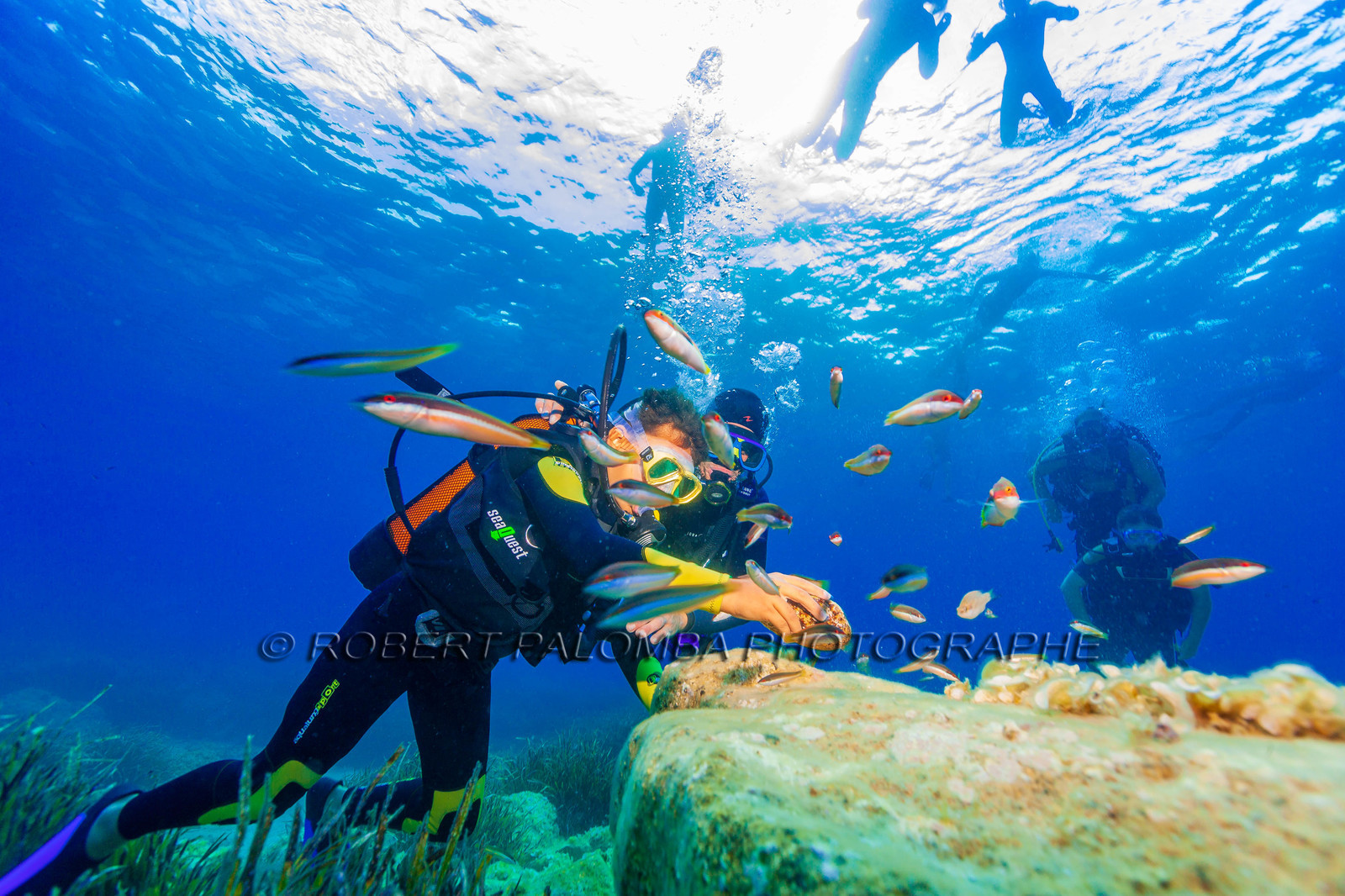 Plongée-sous-marine